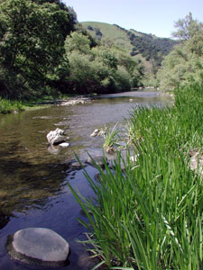 Alameda Creek