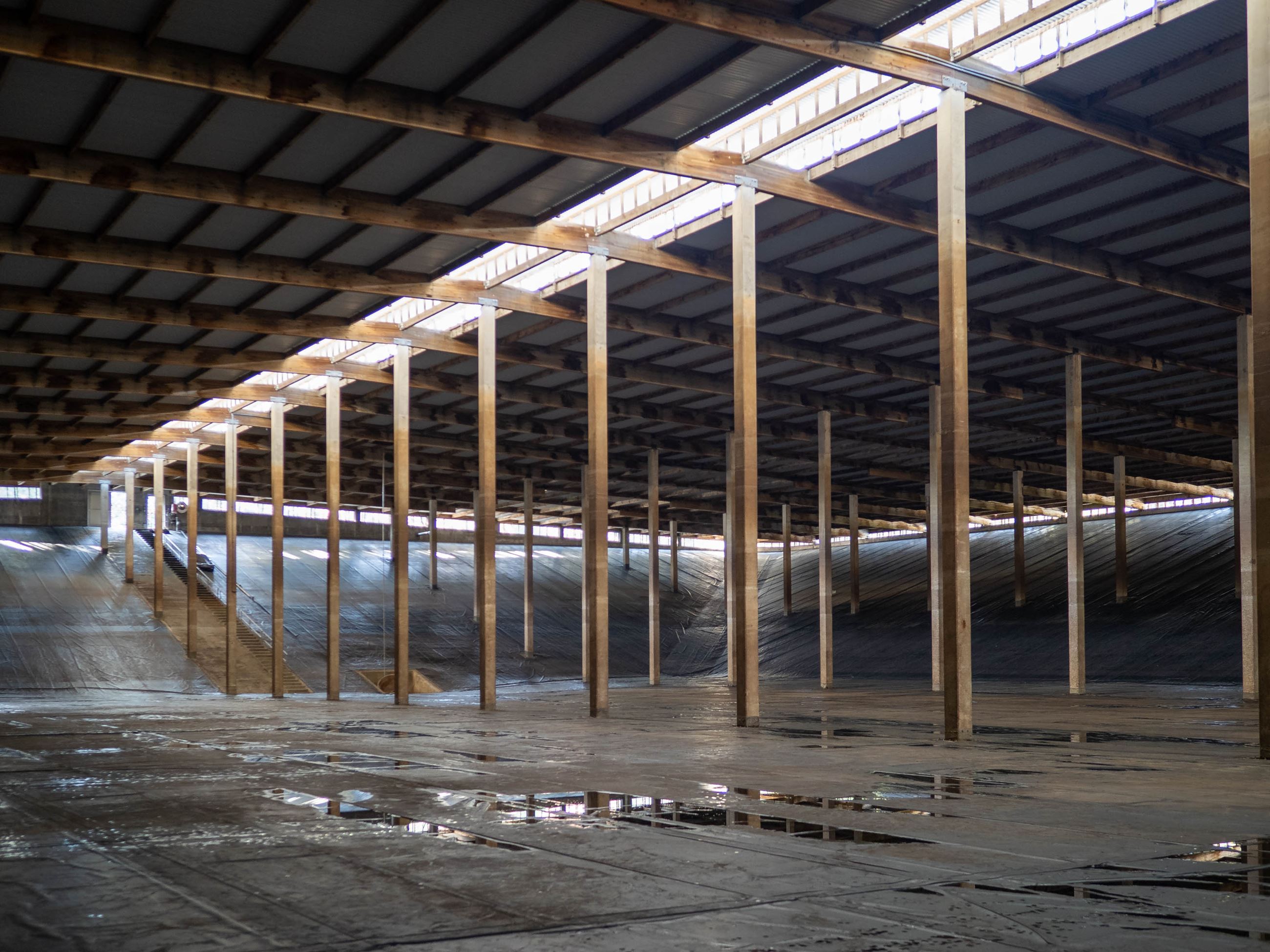 Image of the Alameda Reservoir