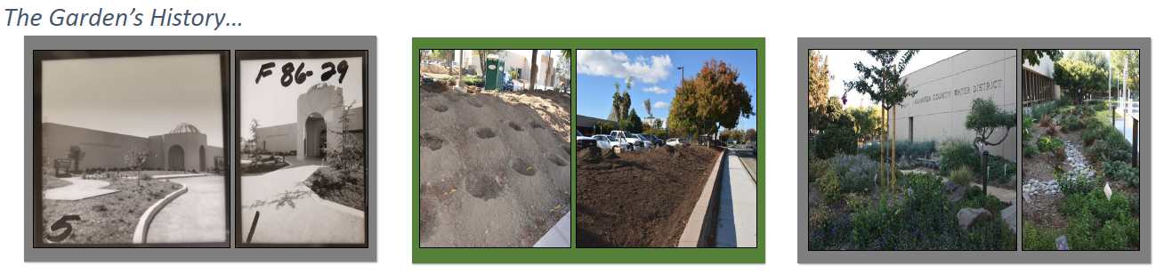 Demonstration Garden History Photos