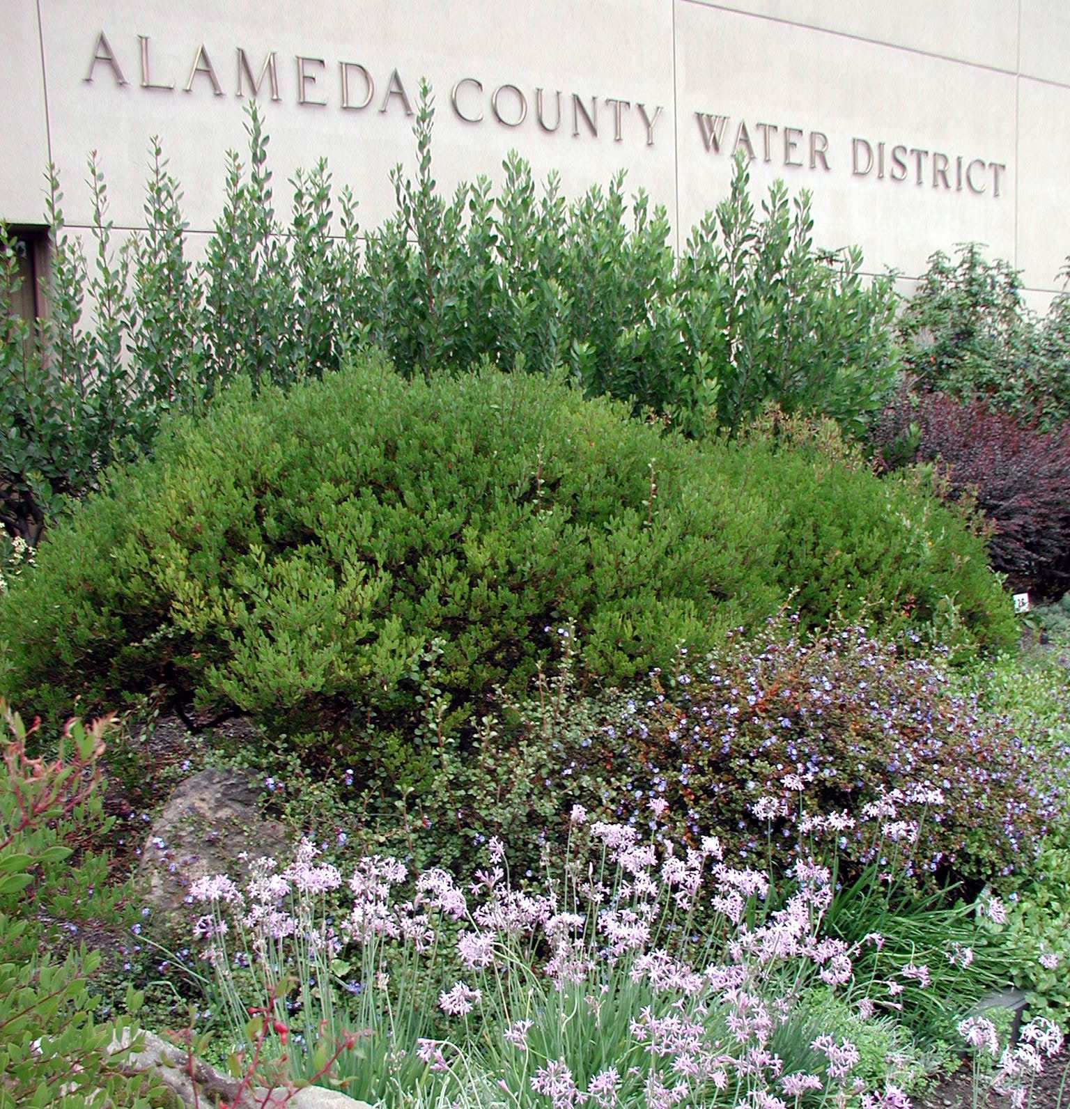 Headquarters Garden
