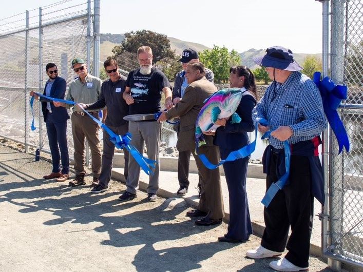 brown minimalist desert photo collage